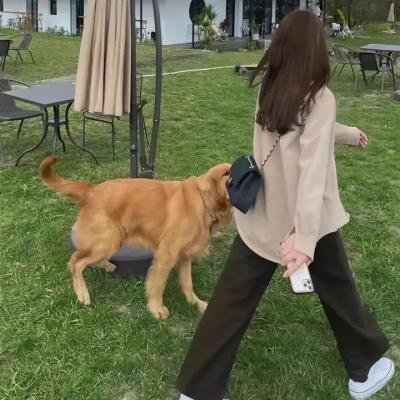 变脸丈夫